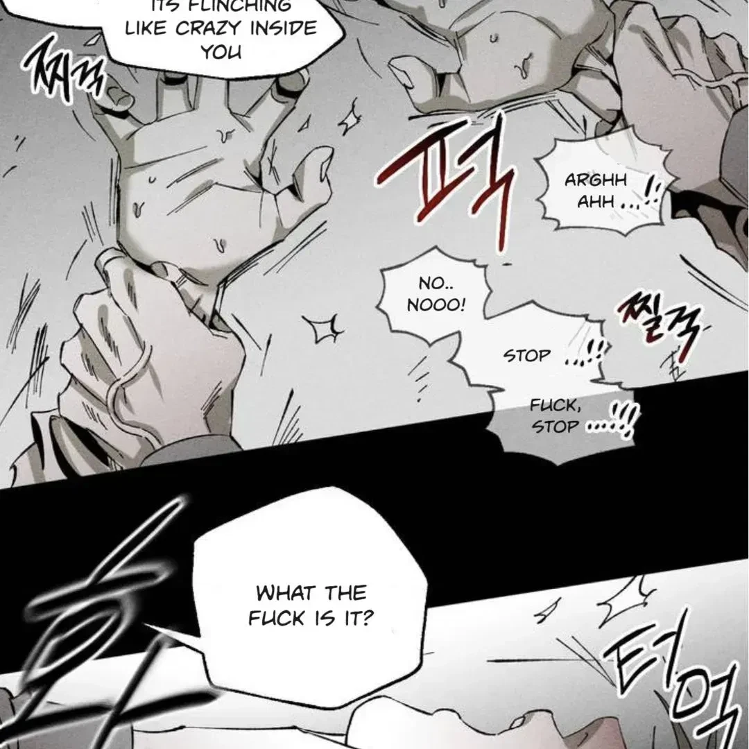 Chapter 1.4, page 11