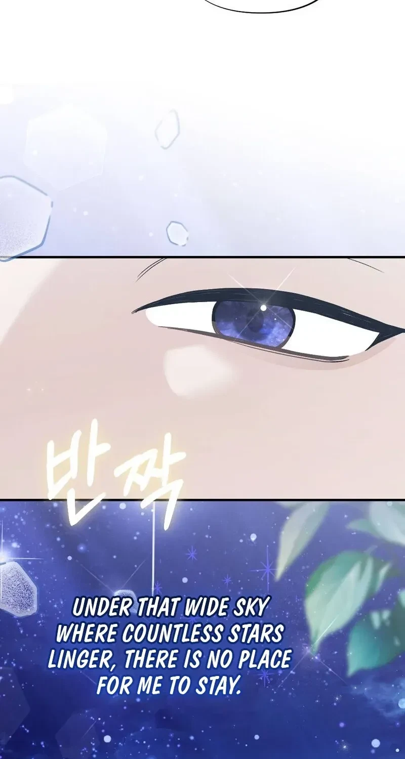 Chapter 5, page 91