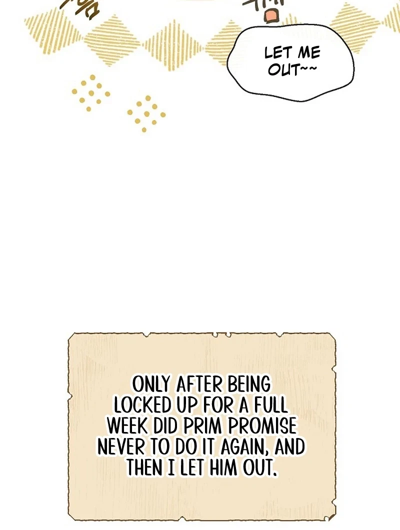 Chapter 7.1, page 37