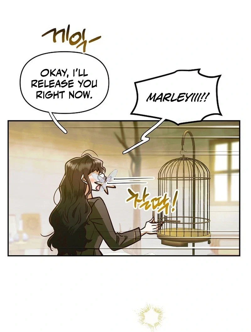 Chapter 7.1, page 38