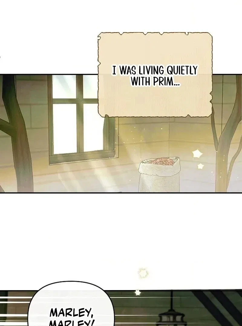 Chapter 7.1, page 40