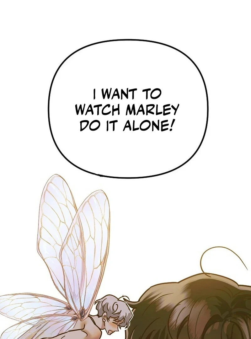Chapter 7.1, page 52