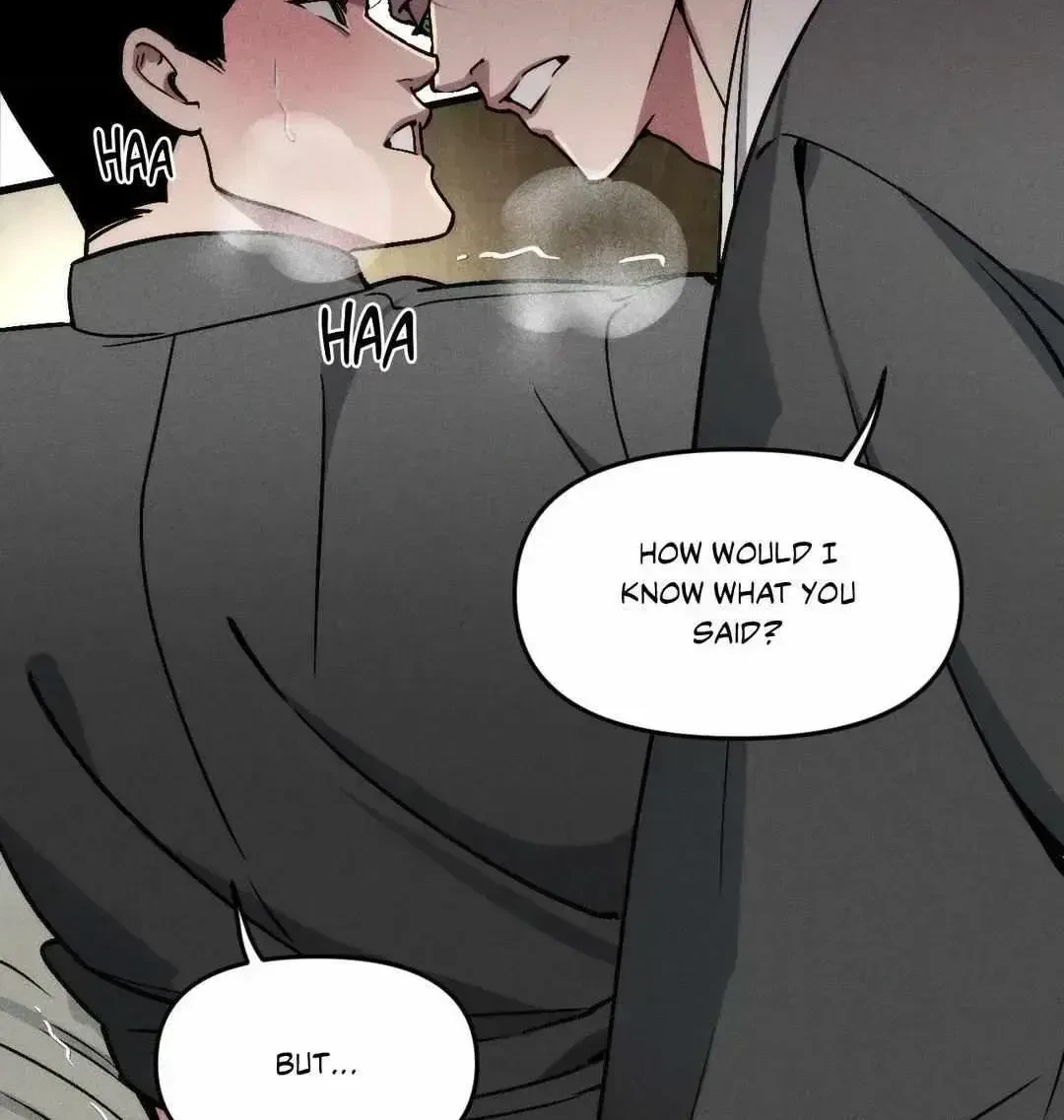 Chapter 3.8, page 102
