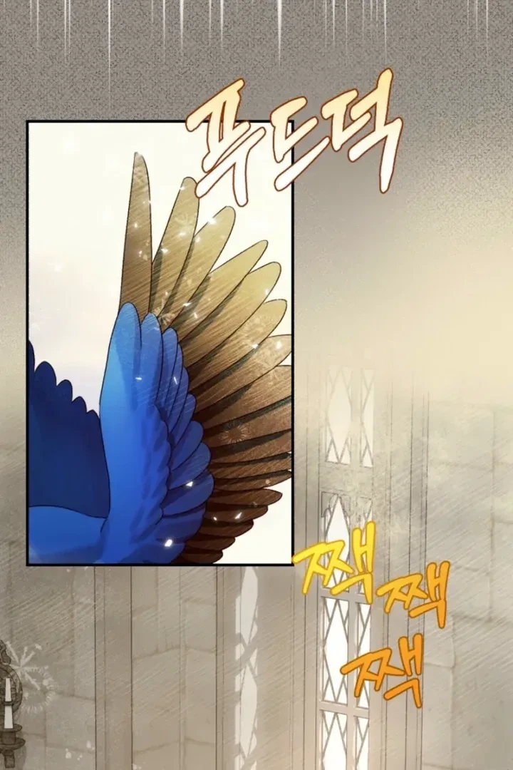 Chapter 2, page 14