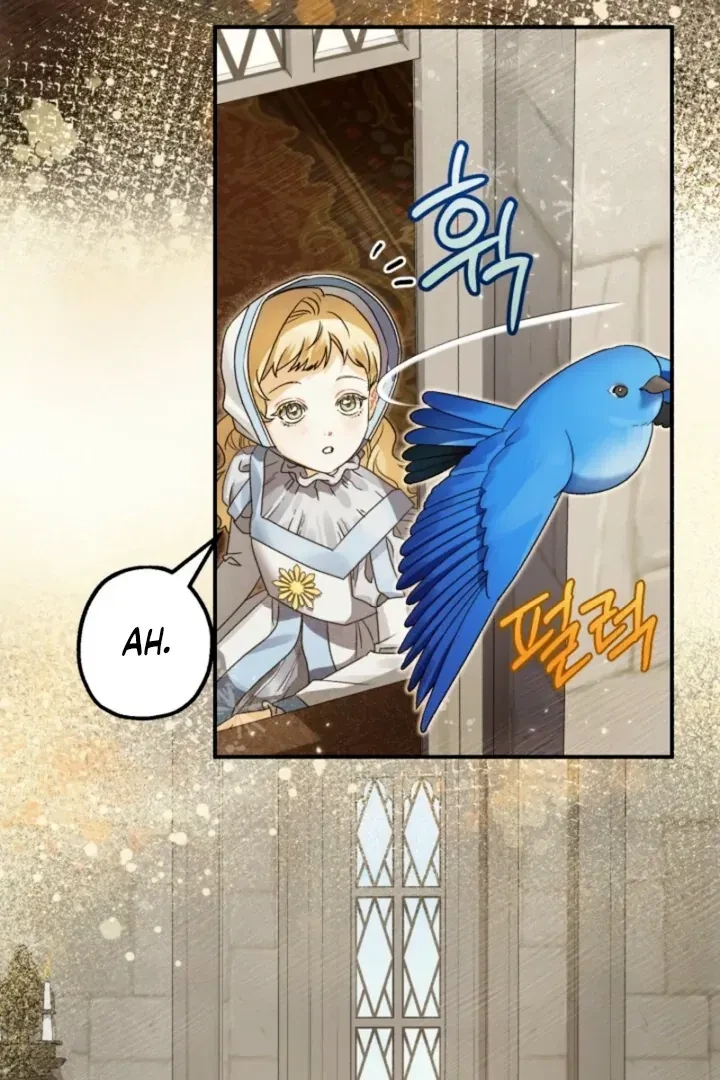 Chapter 2, page 16