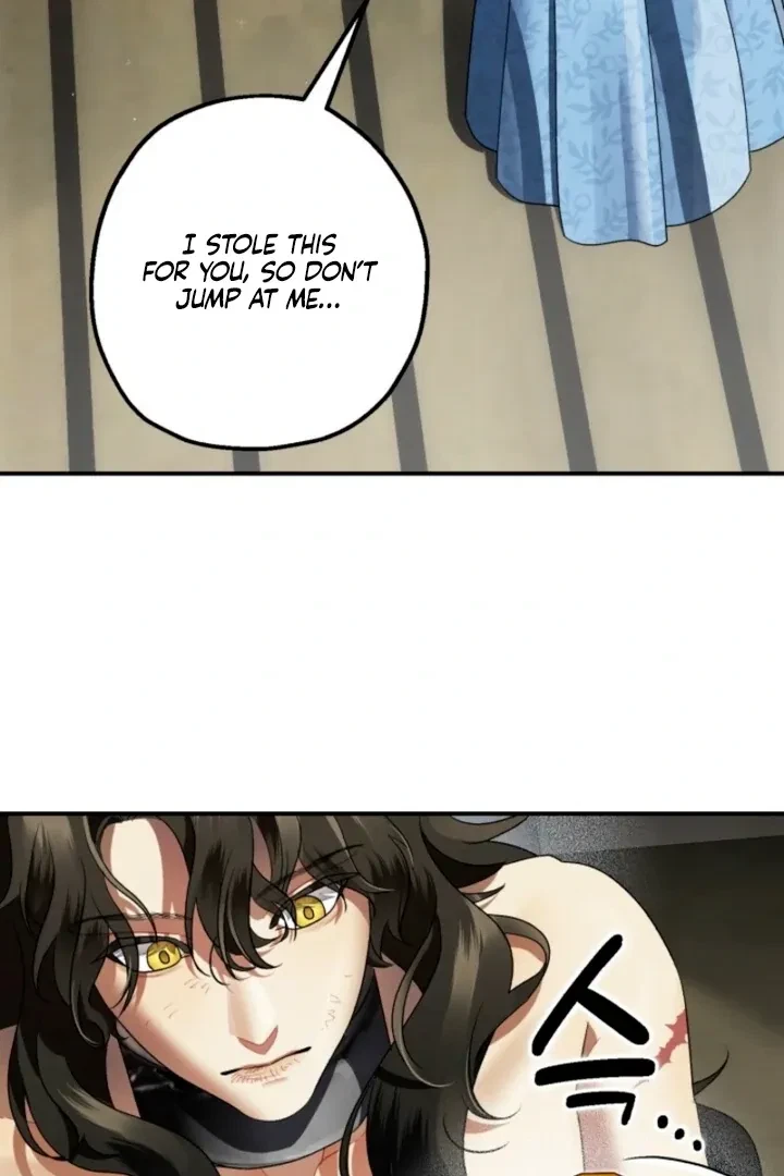 Chapter 2, page 63