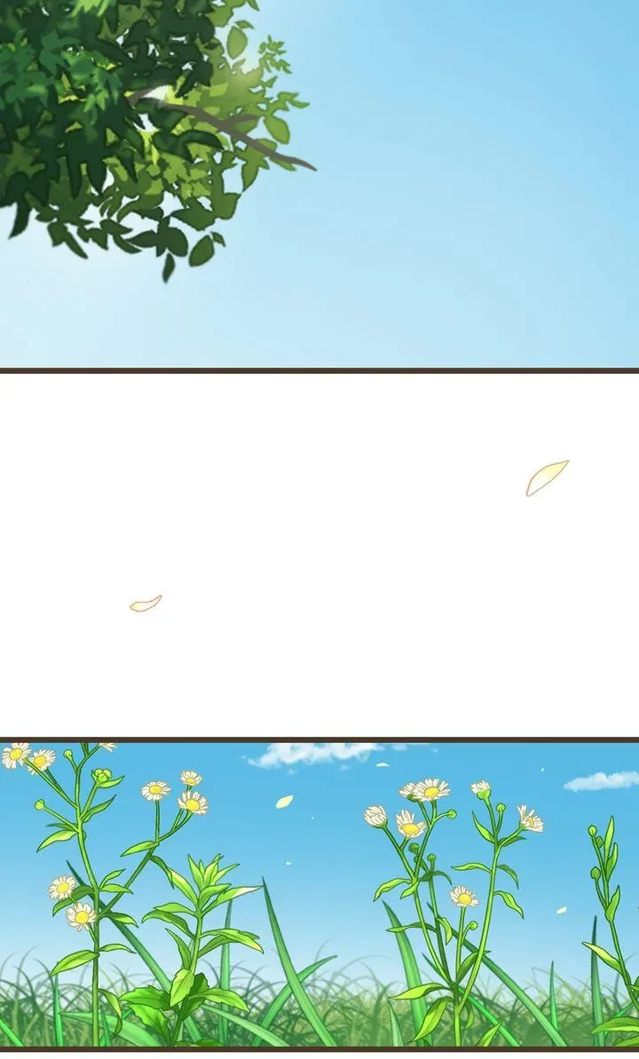 Afterword. : Creator's Note, page 24
