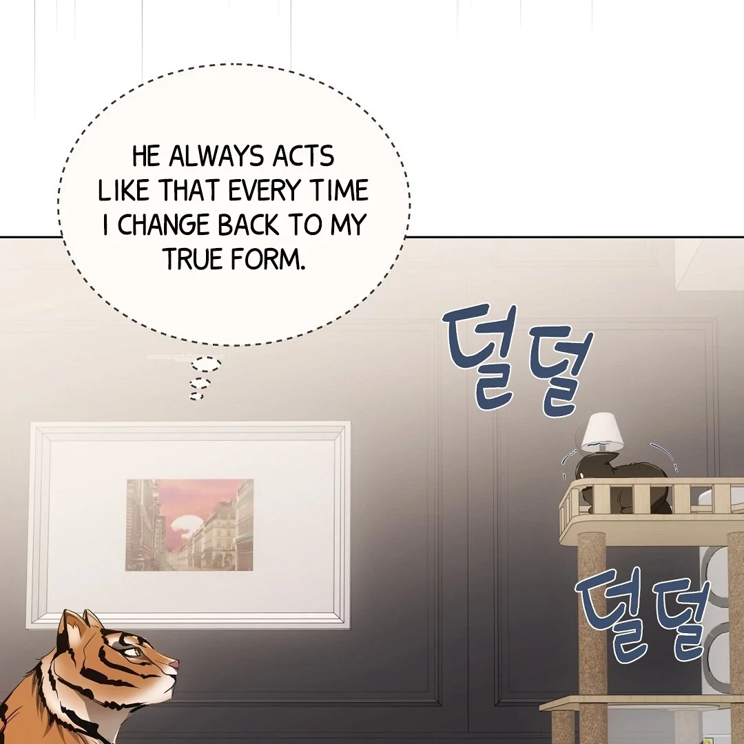 Chapter 11, page 102