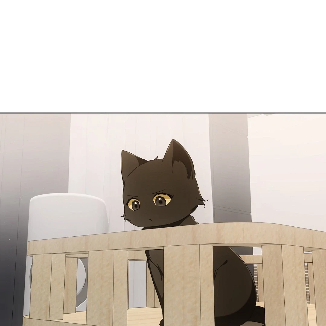 Chapter 11, page 107