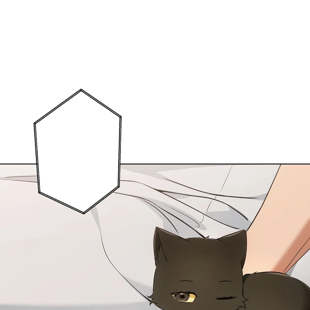 Chapter 11, page 15