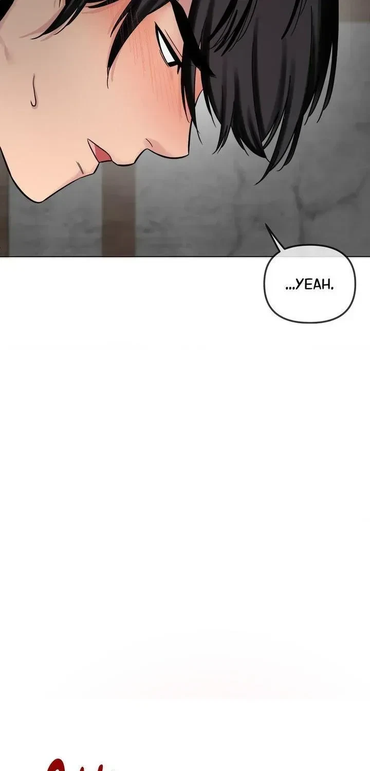 Chapter 4.1, page 111