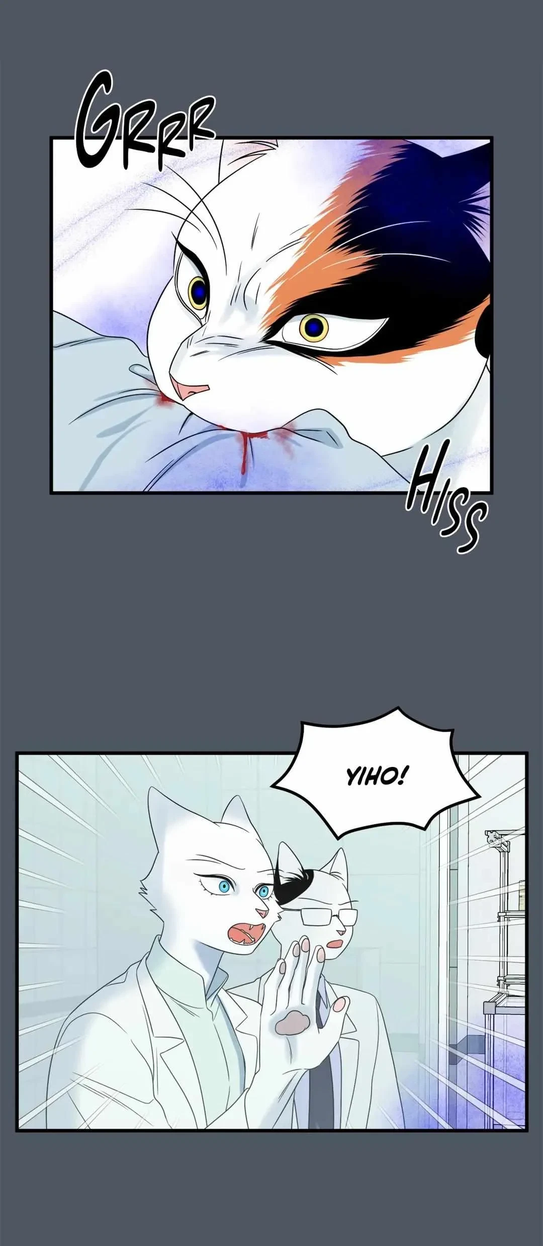 Chapter 42, page 11