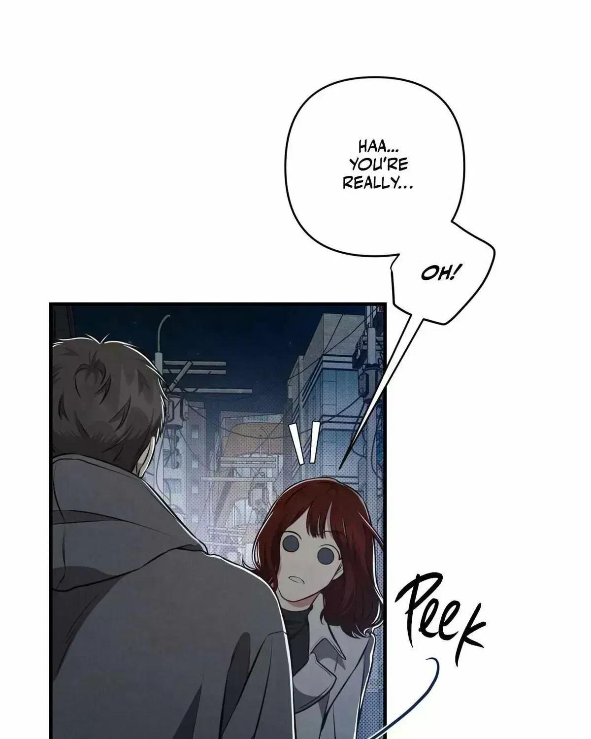 Chapter 5.4, page 101