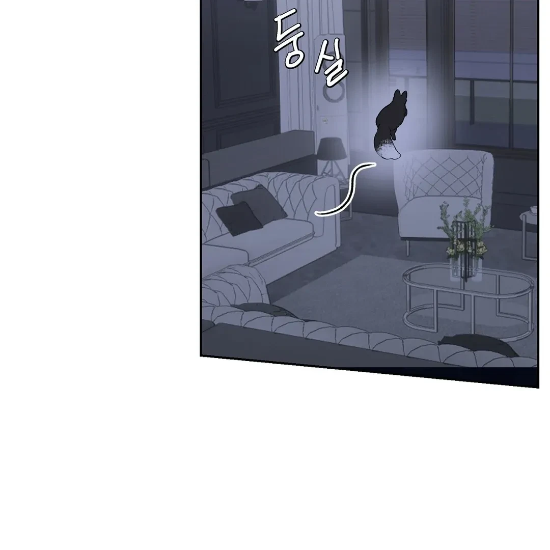 Chapter 1, page 153