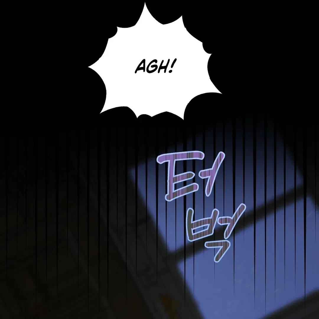 Chapter 1, page 17