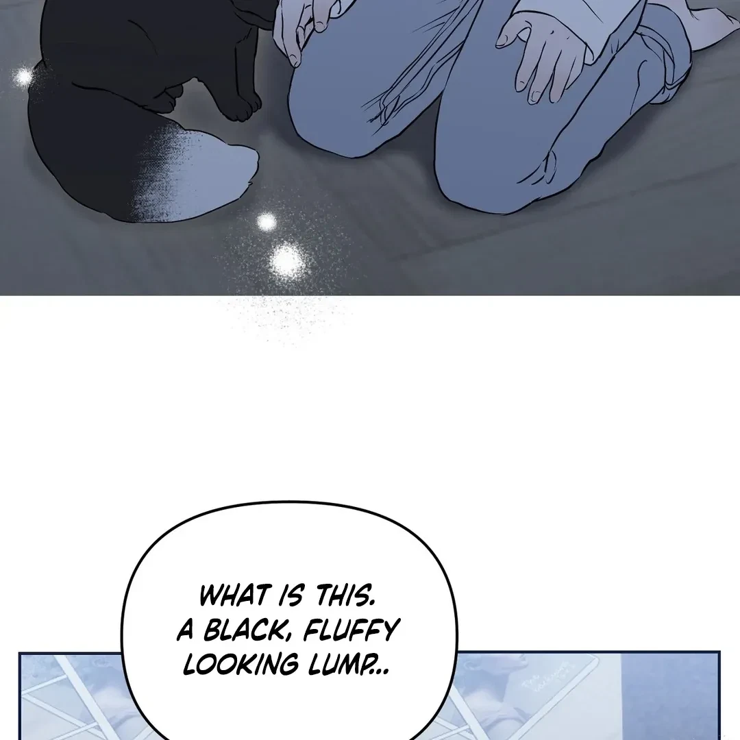 Chapter 1, page 52