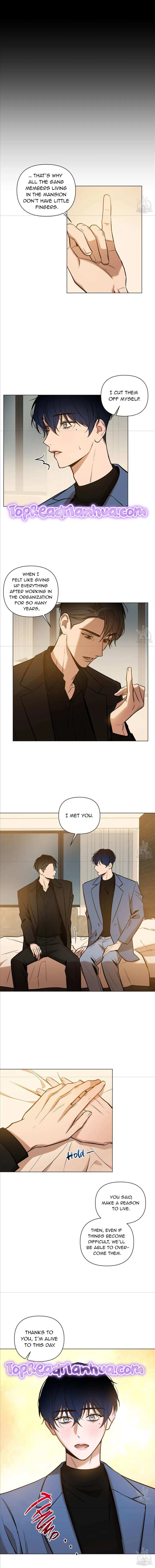 Dawn After Darkness Chapter 16, page 8