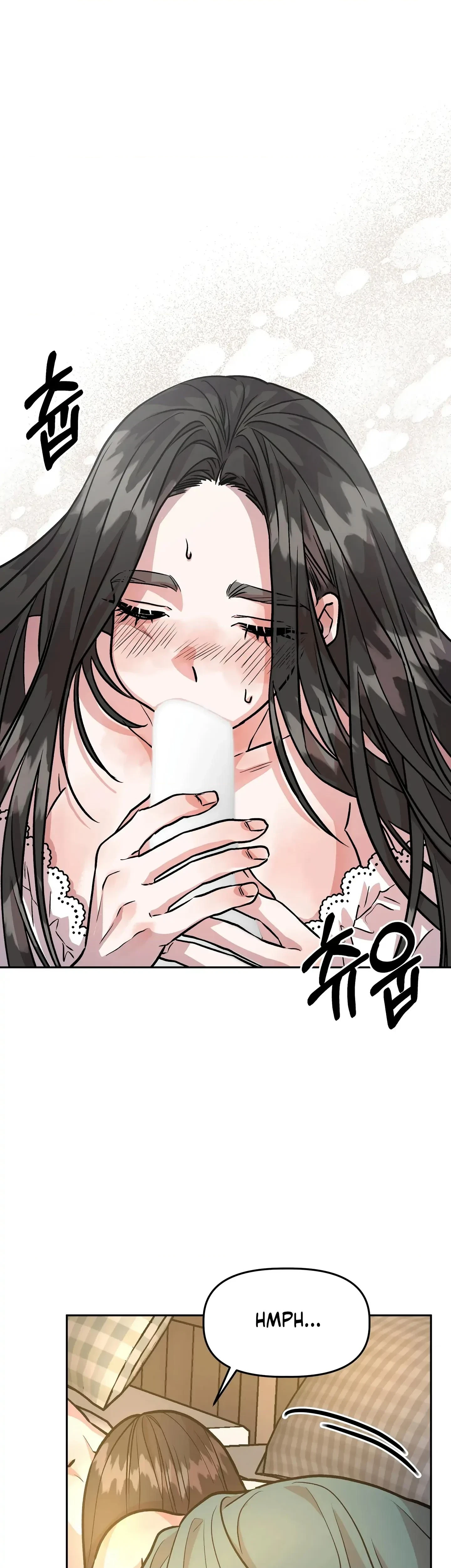 Chapter 4, page 29