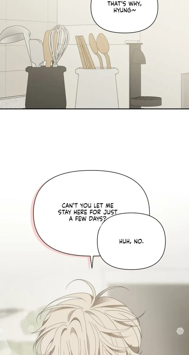 Chapter 2, page 19