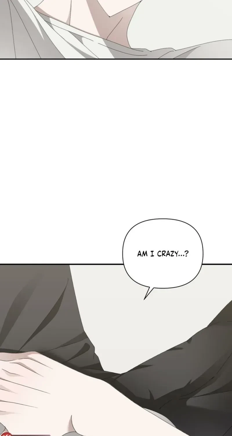 Chapter 2, page 47