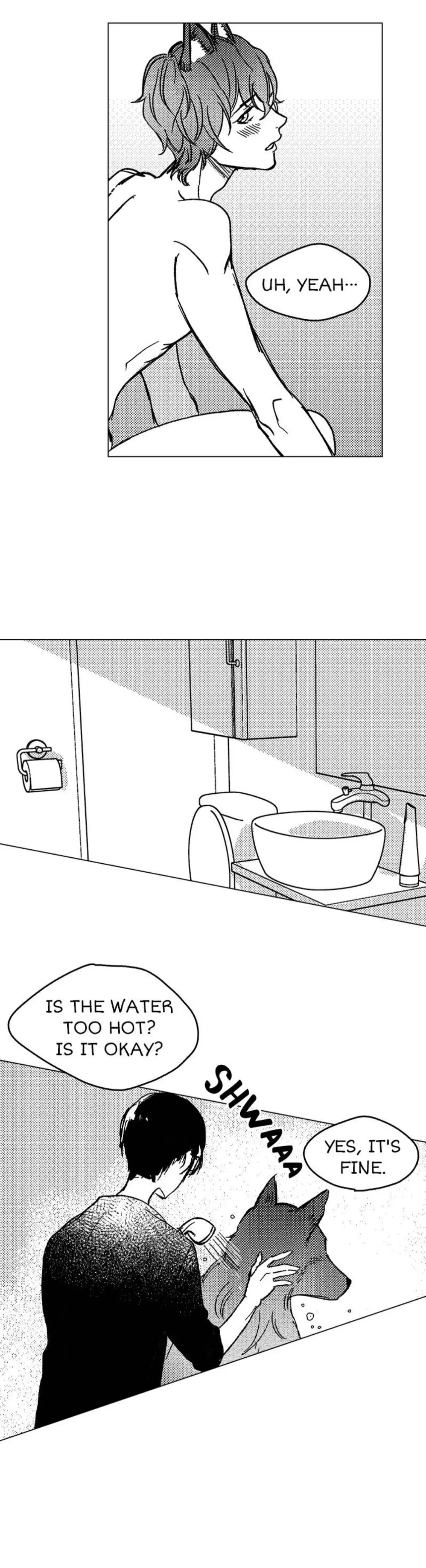 Chapter 4, page 15