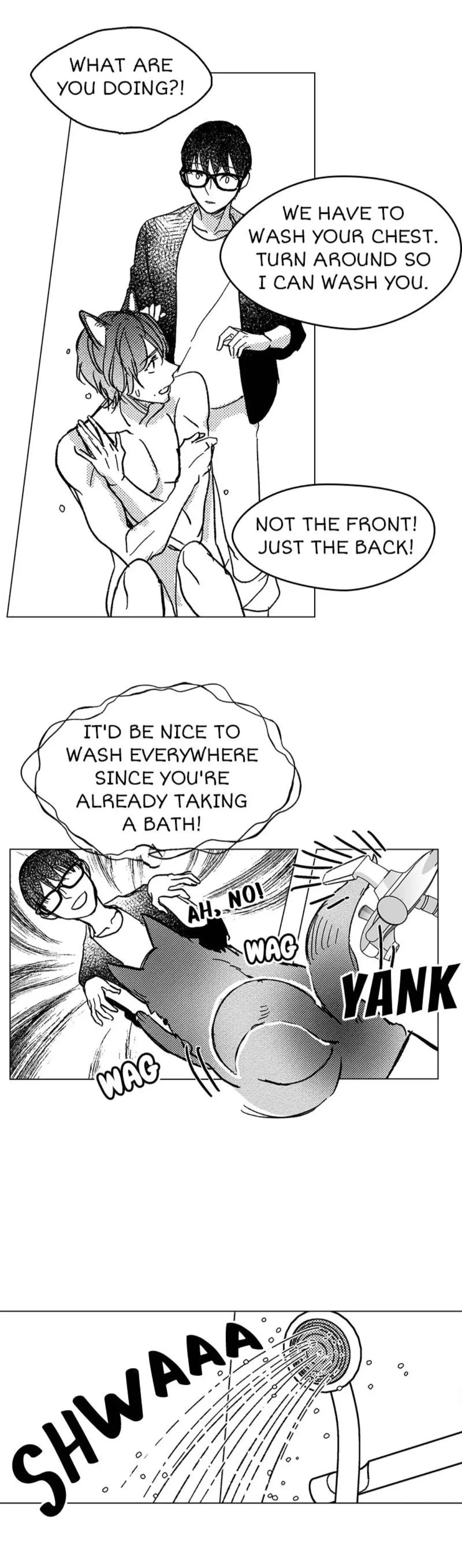 Chapter 4, page 17
