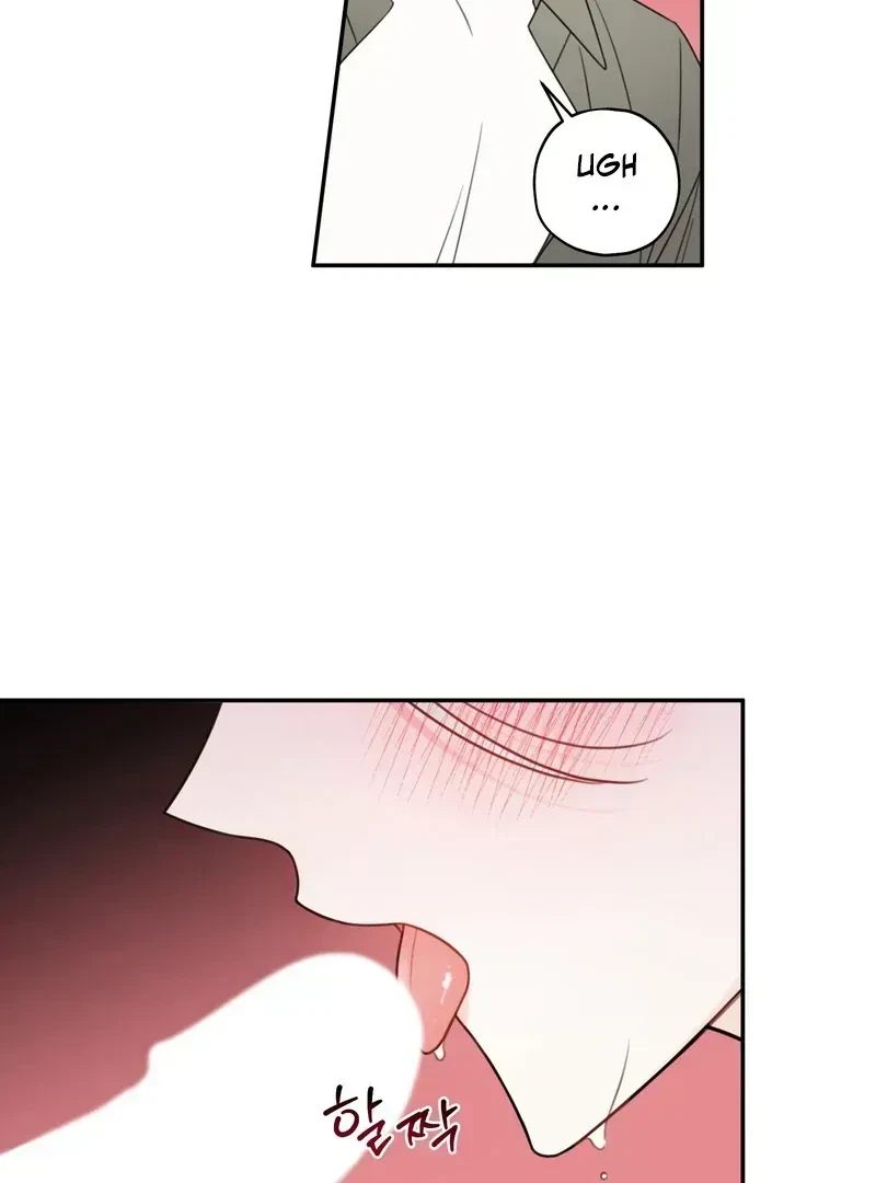 Chapter 1.2, page 3