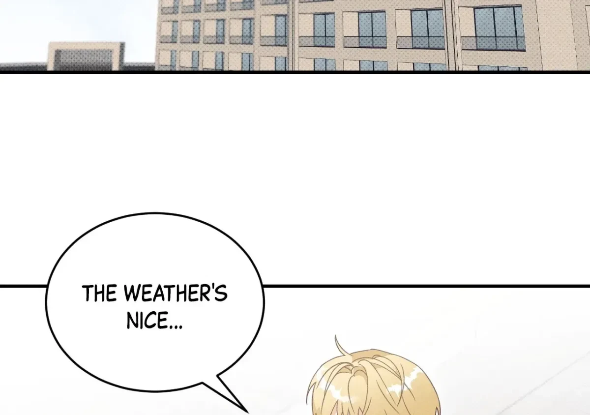 Chapter 17, page 98