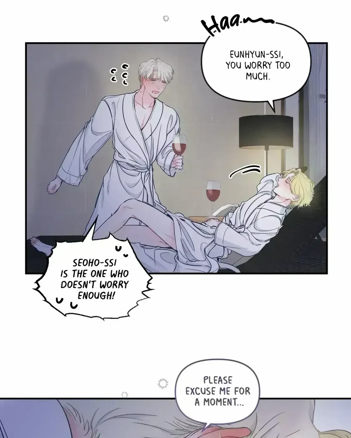 Chapter 2.9, page 13