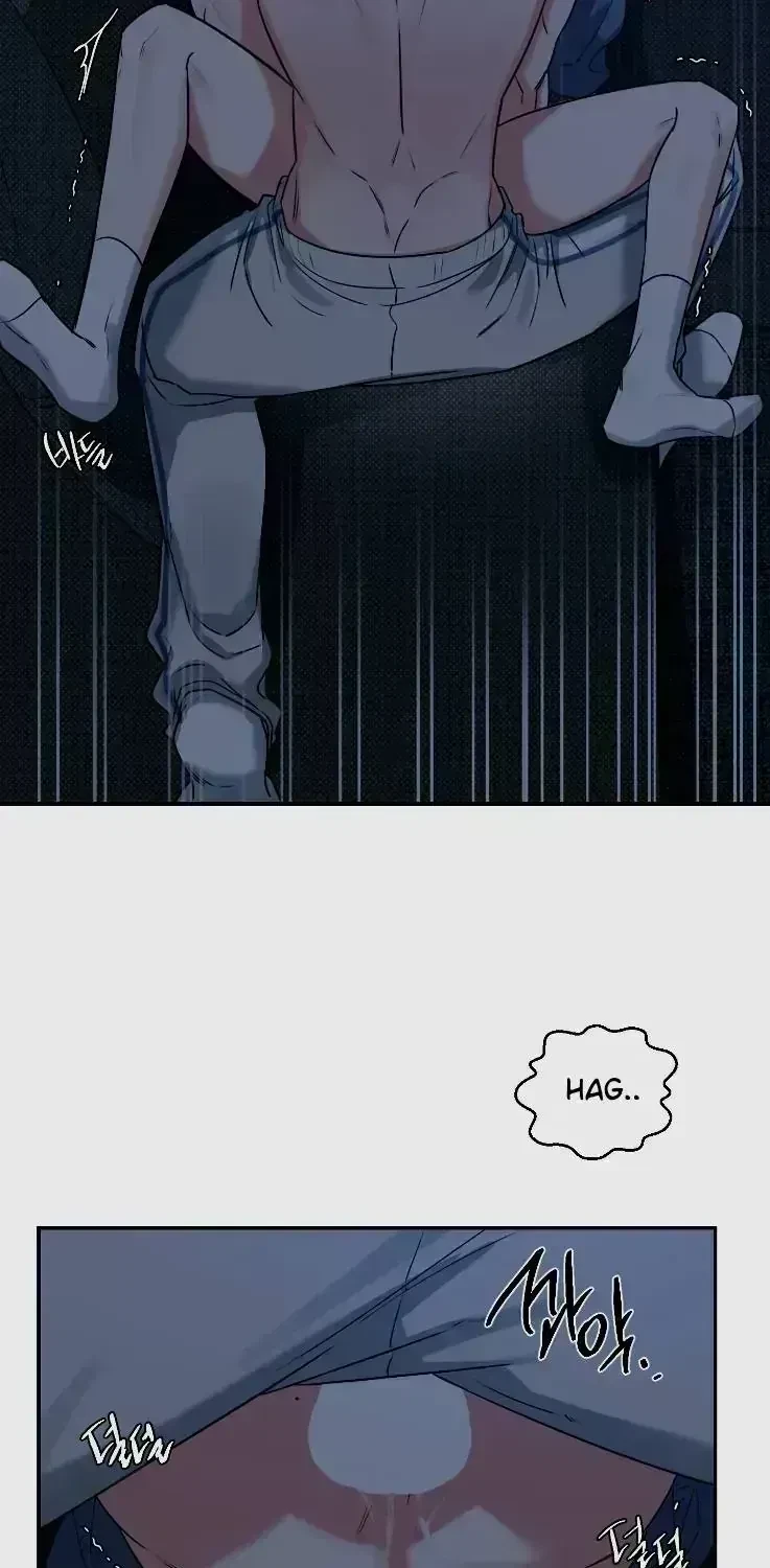 Chapter 3.8, page 51