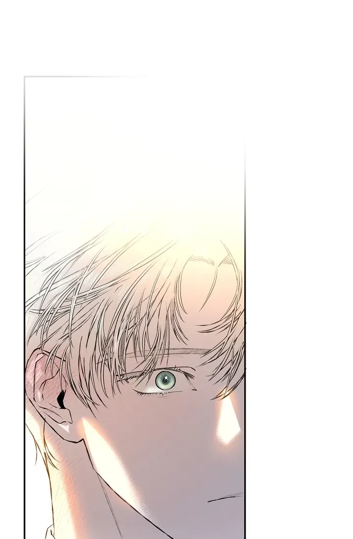 Chapter 6, page 101