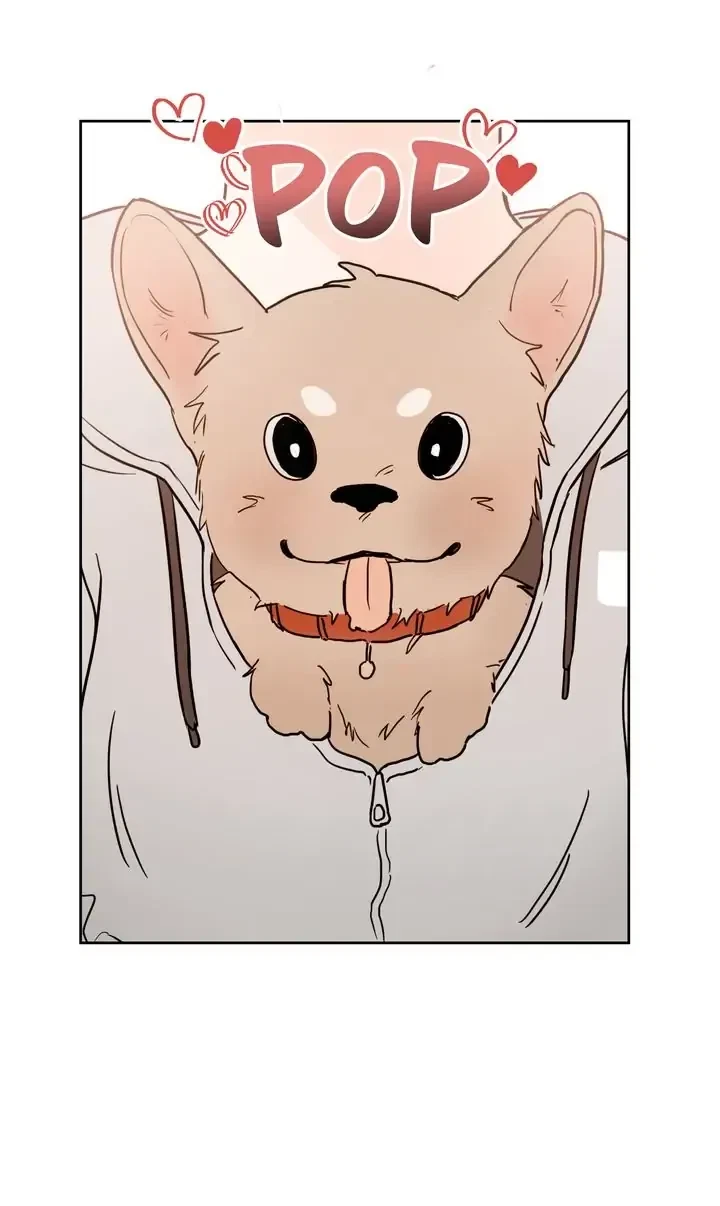 Chapter 1, page 11