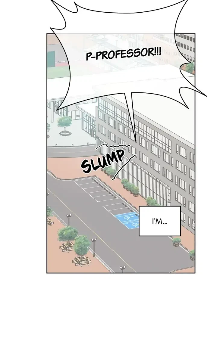 Chapter 1, page 19