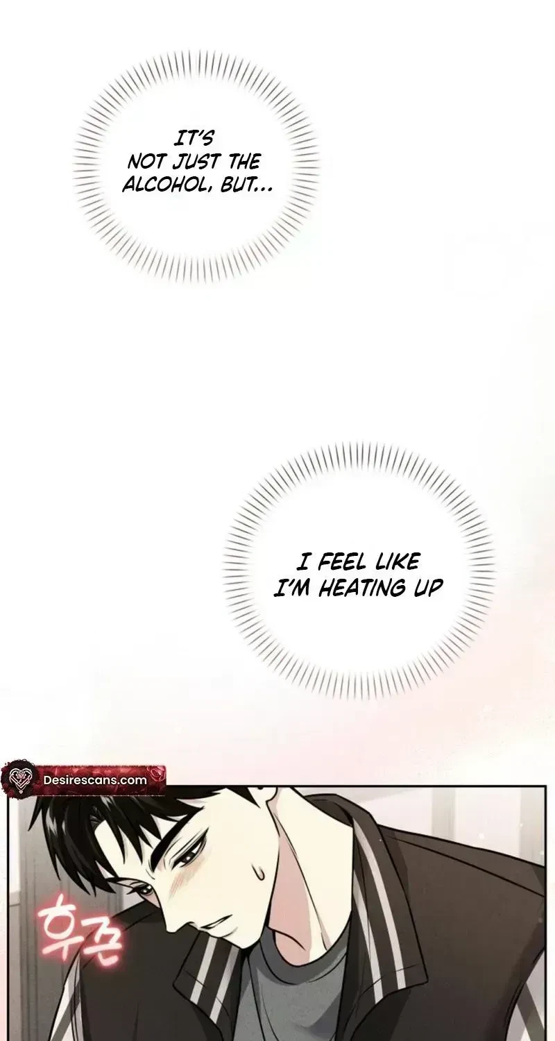 Chapter 2.9, page 62
