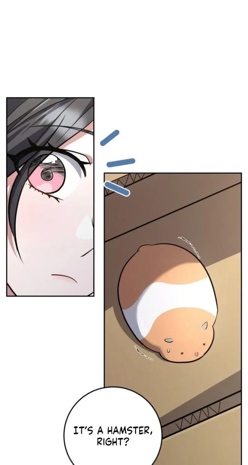 Chapter 7, page 61