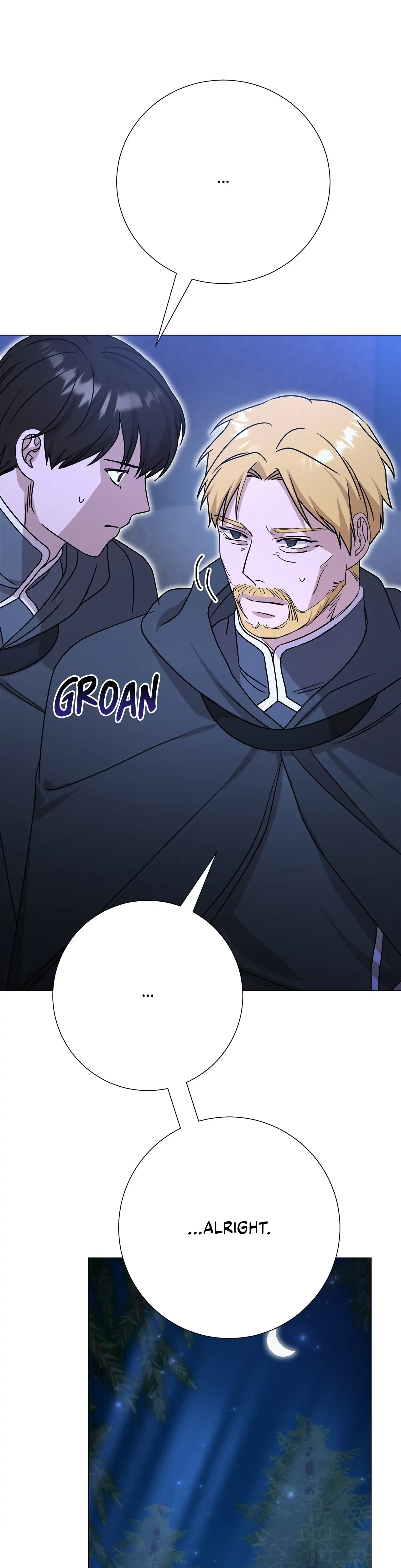 Chapter 30, page 17