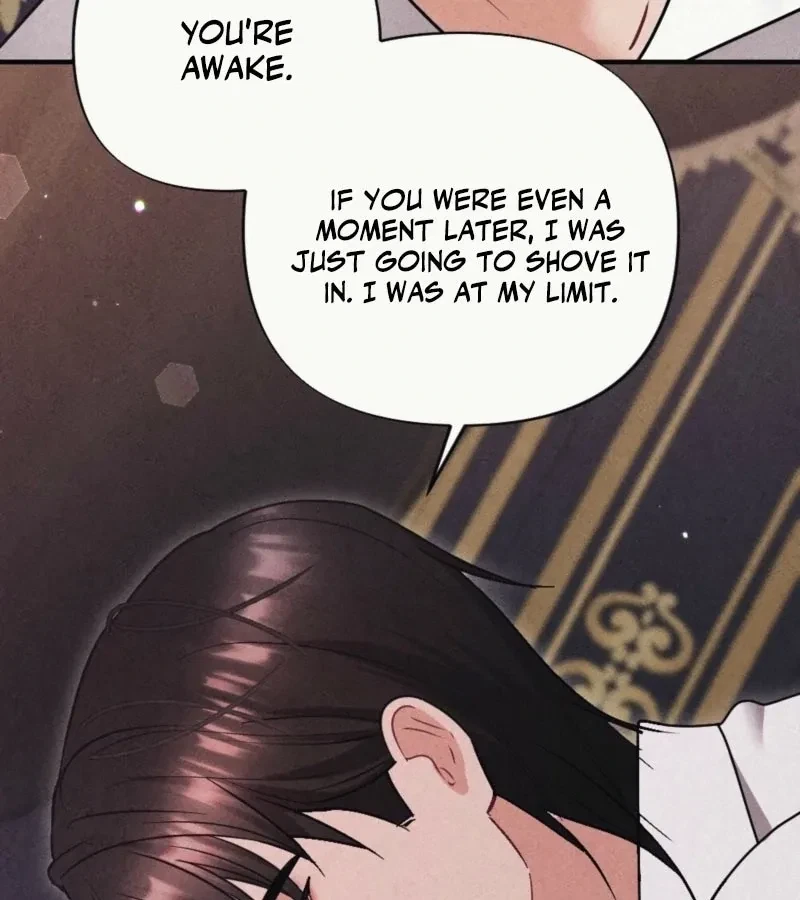Chapter 3, page 102