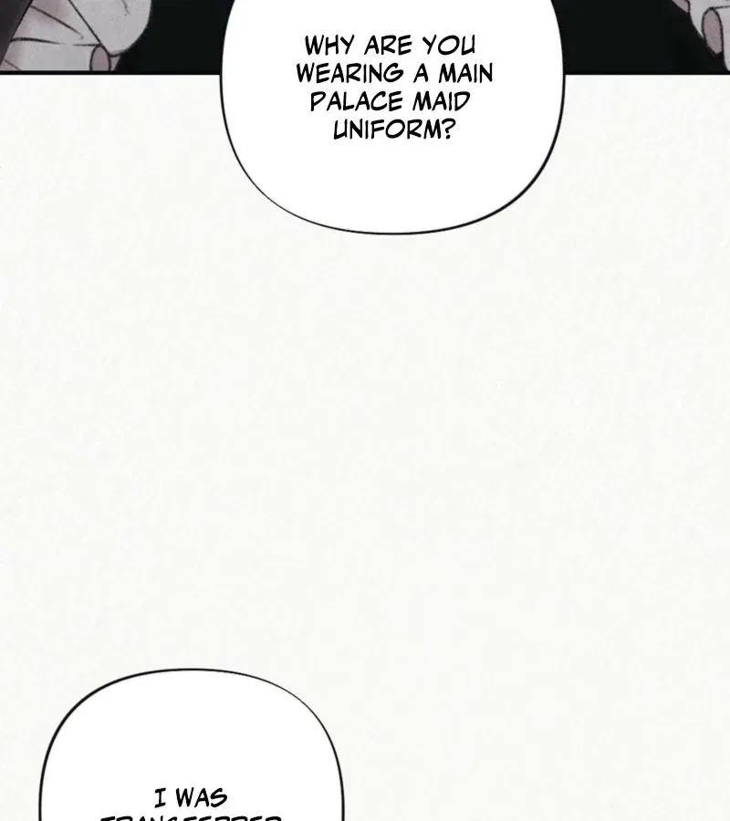 Chapter 3, page 39
