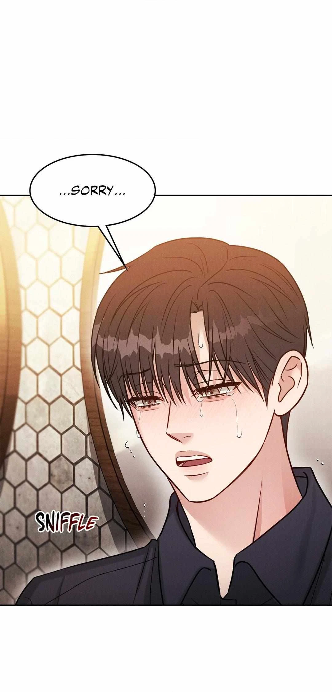 Chapter 30, page 14