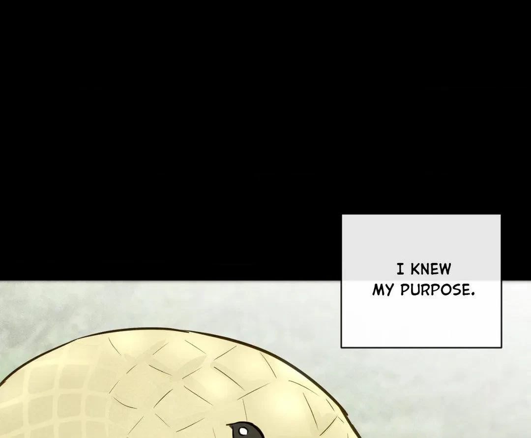 Chapter 2, page 14