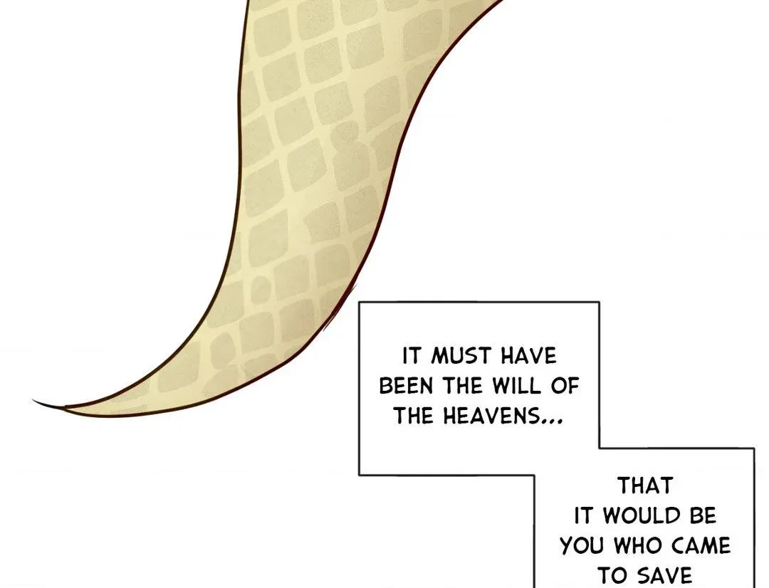 Chapter 2, page 72