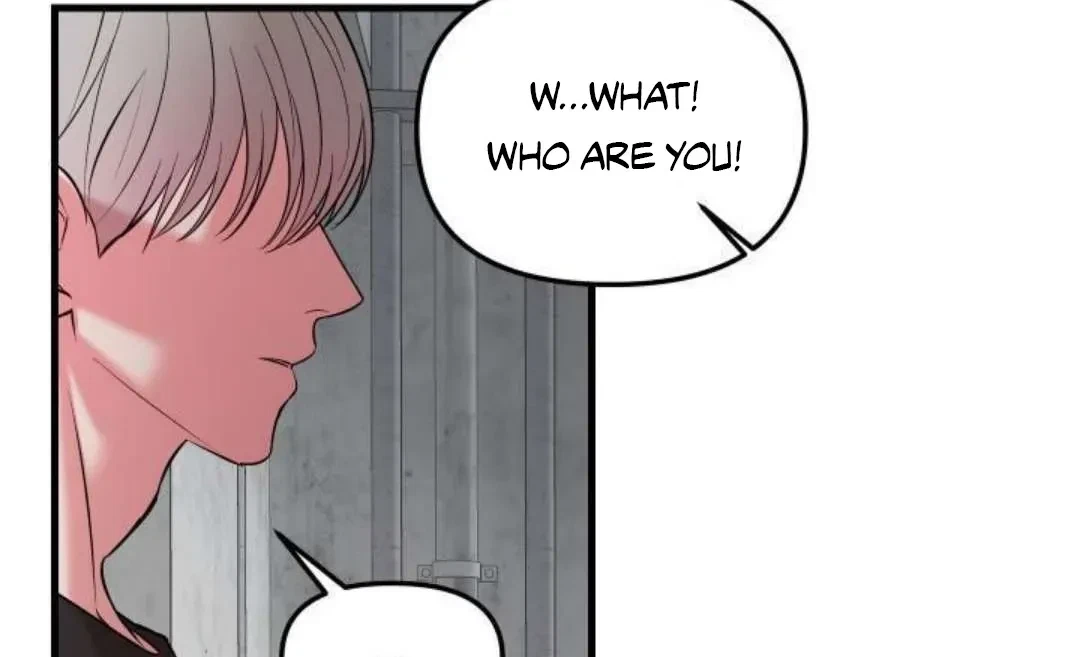Chapter 4, page 86