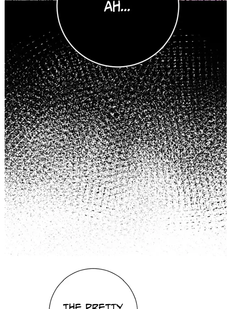 Chapter 2, page 30