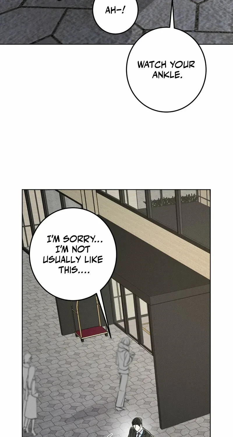 Chapter 2, page 66