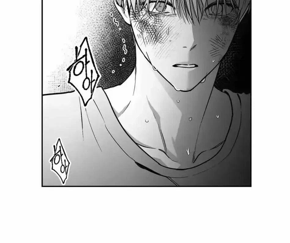 Chapter 1.1, page 116