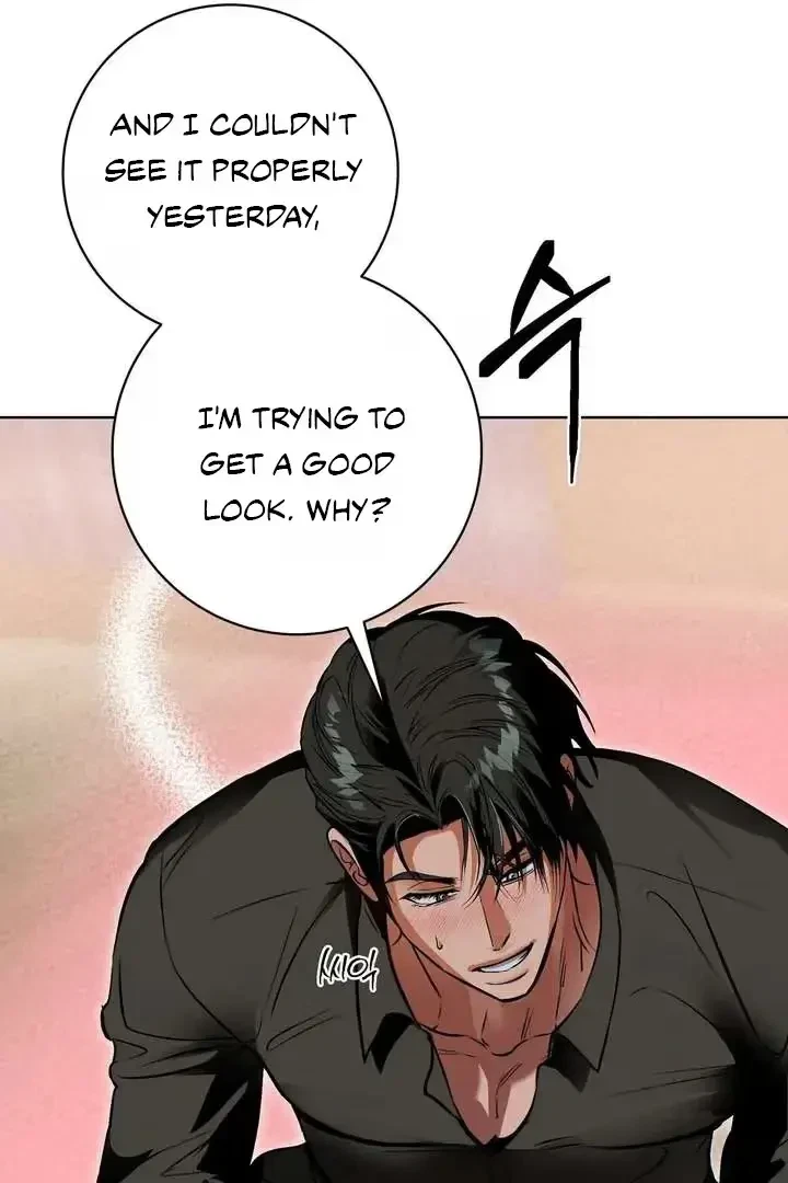 Chapter 3, page 102