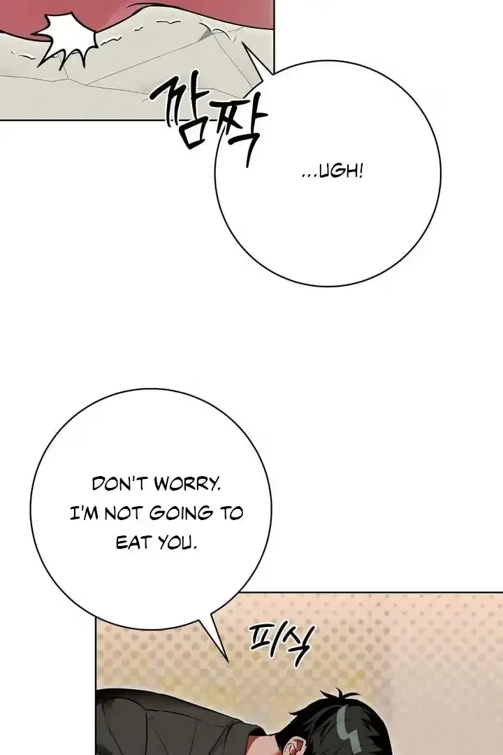 Chapter 3, page 106