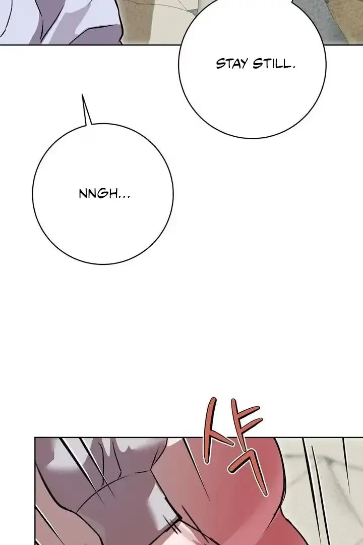 Chapter 3, page 97