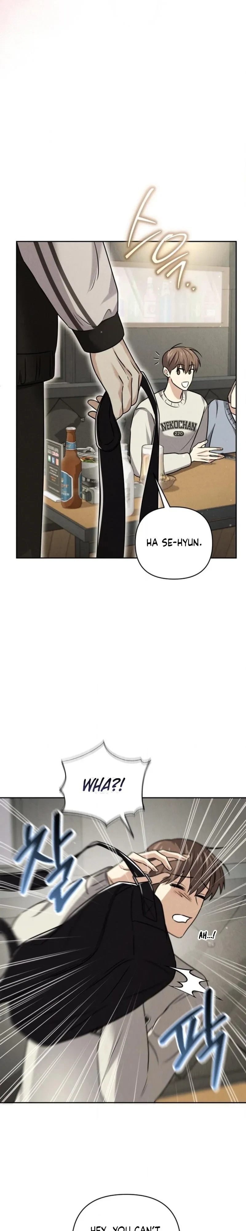 Chapter 2, page 22