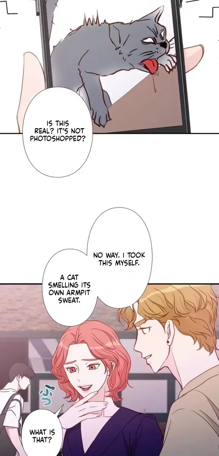 Chapter 4, page 24